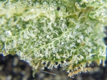 R0010765